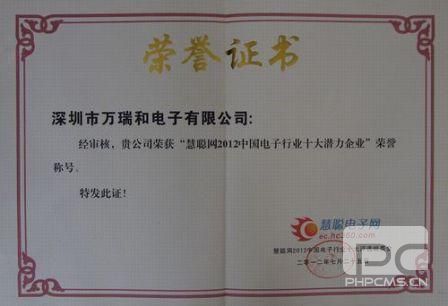 電子行業(yè)十大潛力企業(yè)榮譽(yù)證書